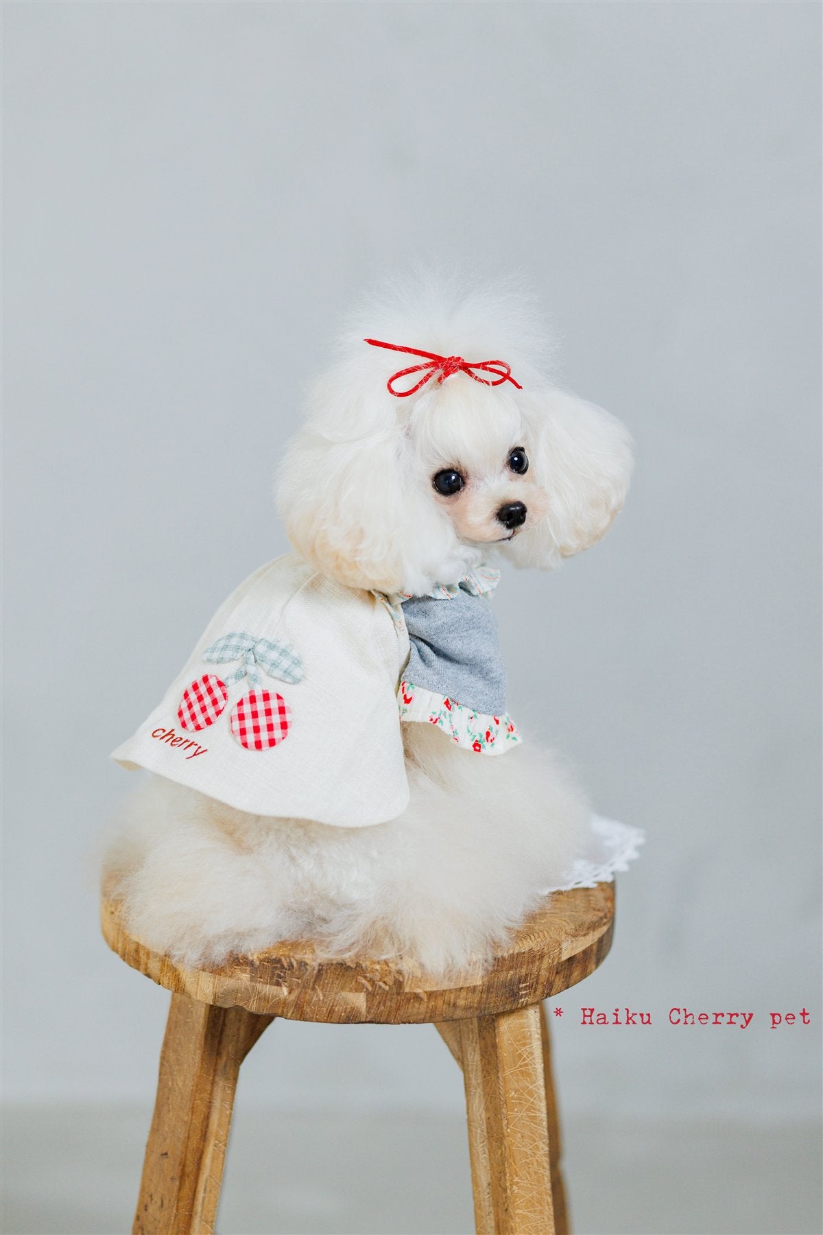 PET WEAR